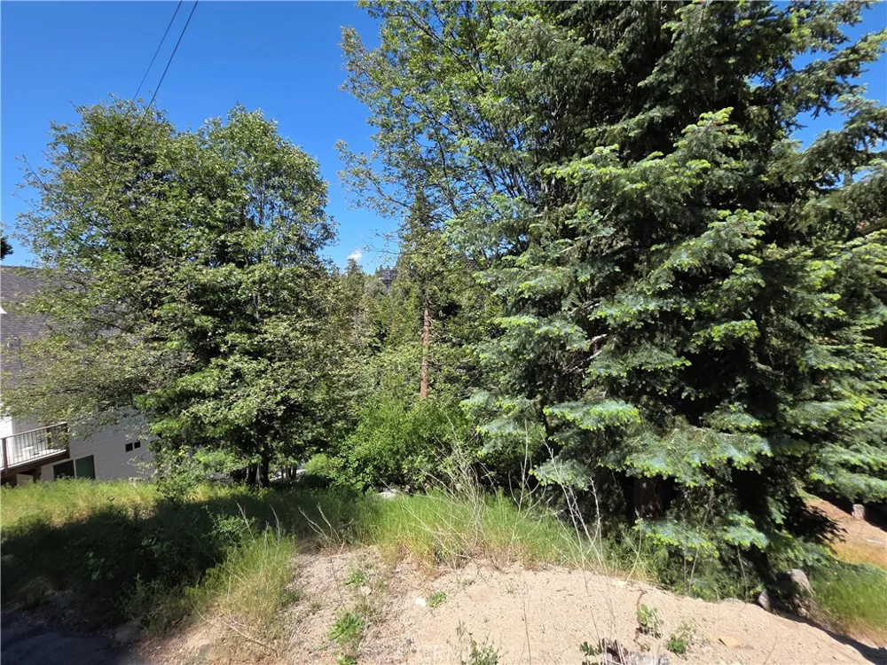 Shenandoah Drive Lake Arrowhead, CA 92352