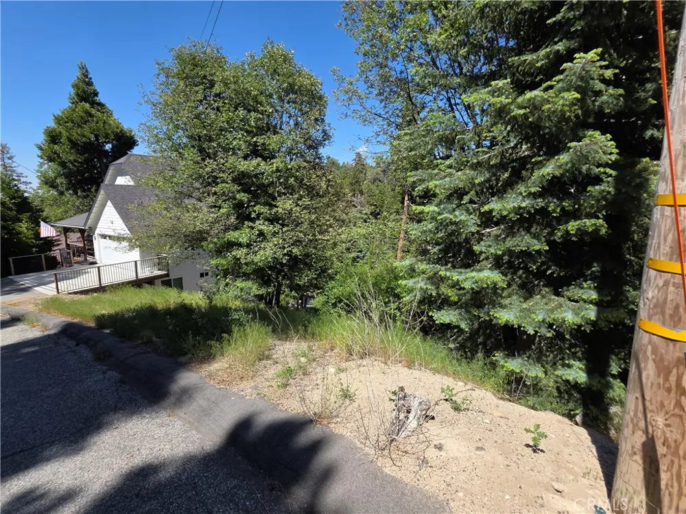Shenandoah Drive Lake Arrowhead, CA 92352