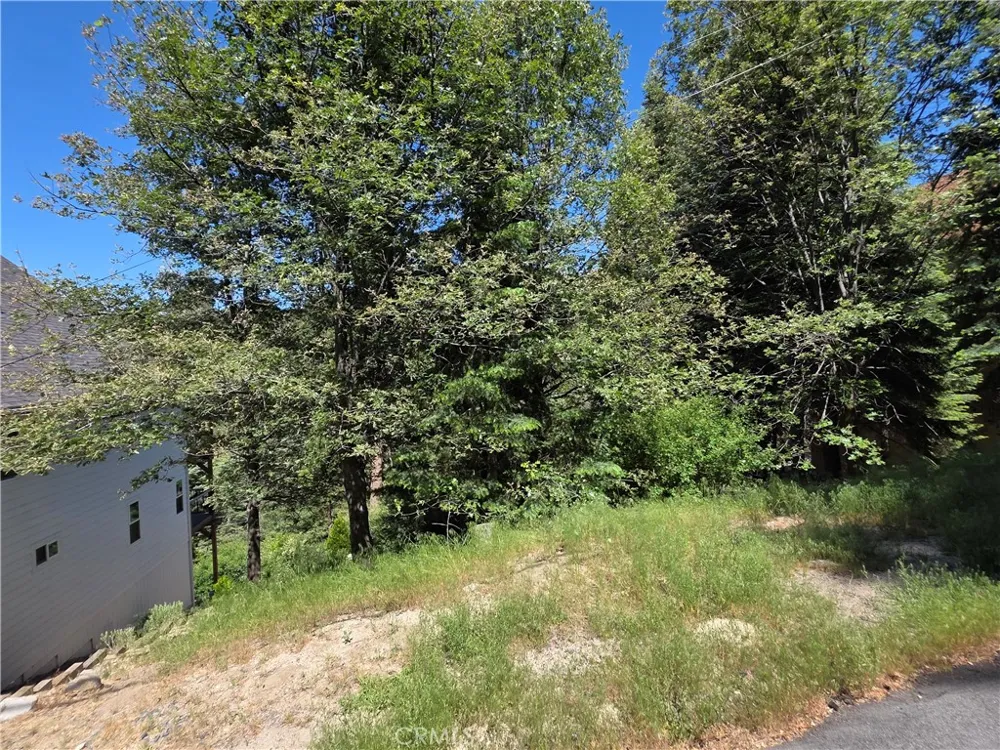 Shenandoah Drive Lake Arrowhead, CA 92352