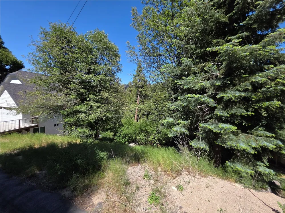 Shenandoah Drive Lake Arrowhead, CA 92352
