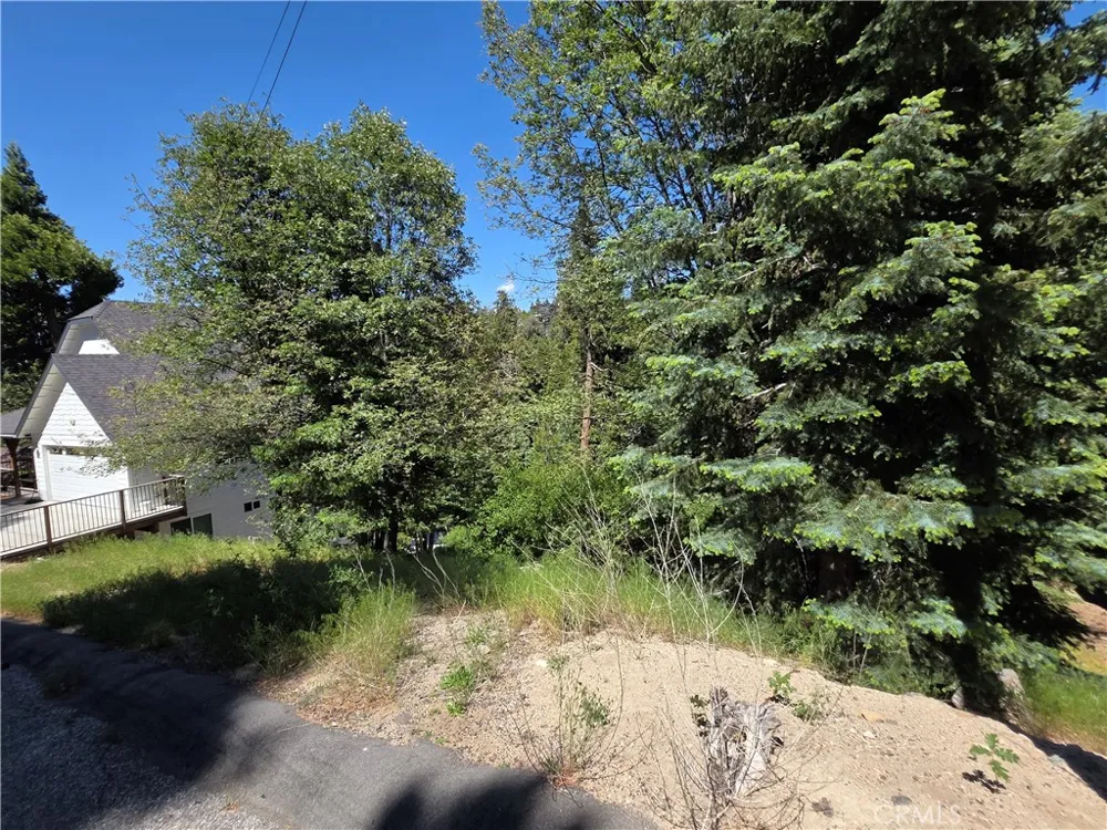 Shenandoah Drive Lake Arrowhead, CA 92352
