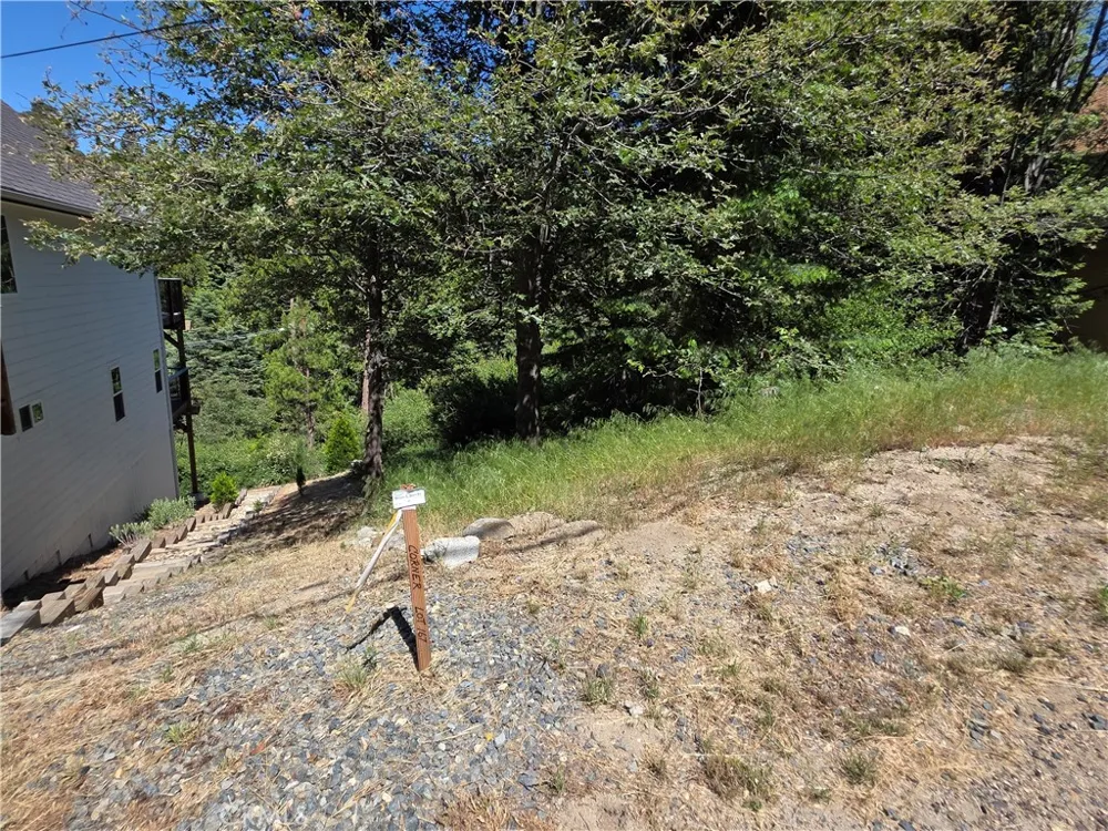 Shenandoah Drive Lake Arrowhead, CA 92352