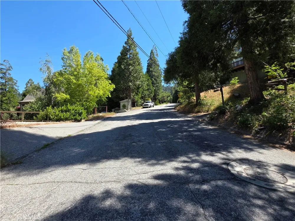 Shenandoah Drive Lake Arrowhead, CA 92352