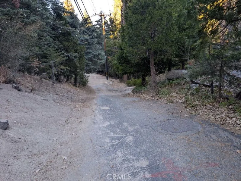 Shenandoah Drive Lake Arrowhead, CA 92352