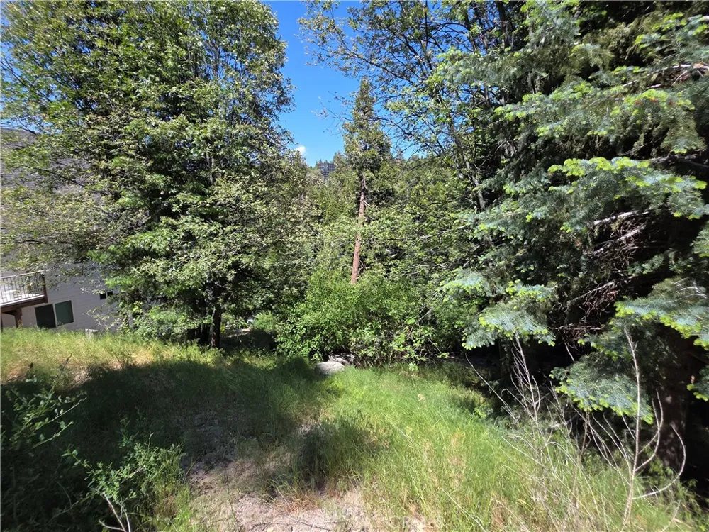 Shenandoah Drive Lake Arrowhead, CA 92352