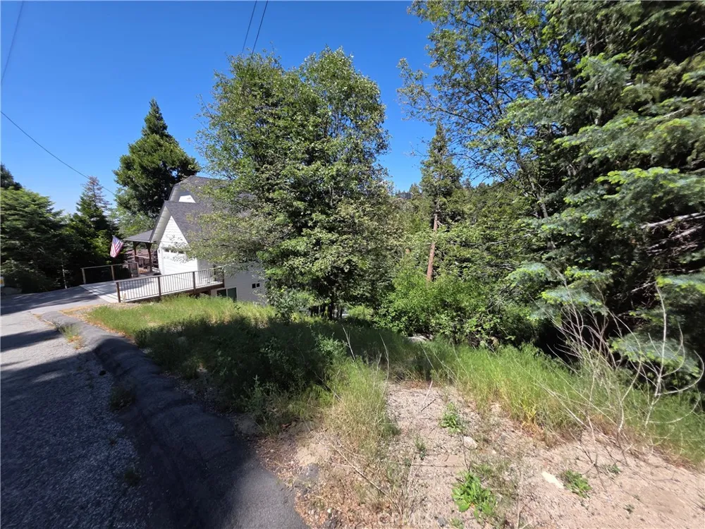 Shenandoah Drive Lake Arrowhead, CA 92352