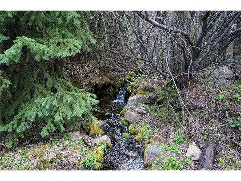 0 Trail Creek Road