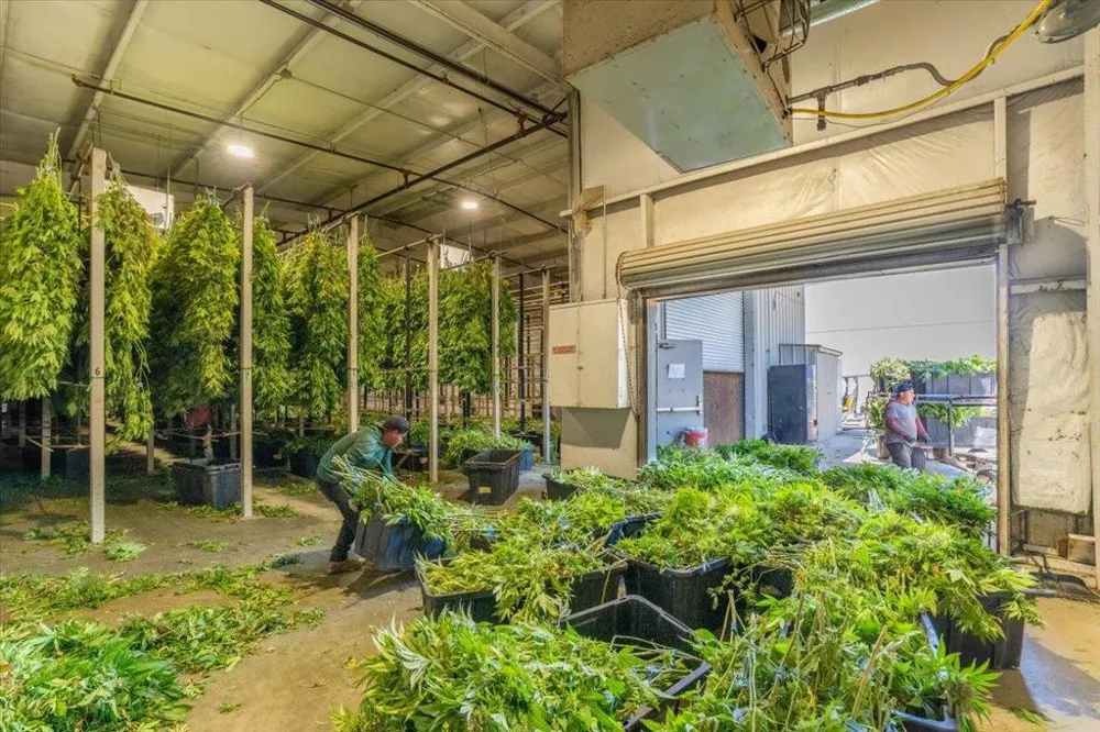 23820 Potter Road Salinas, CA 93908