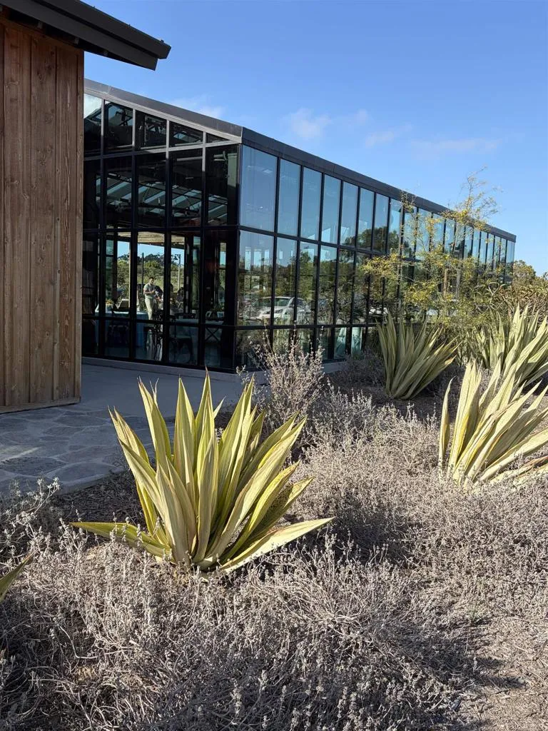1105 Catania Court #203 Encinitas, CA 92024