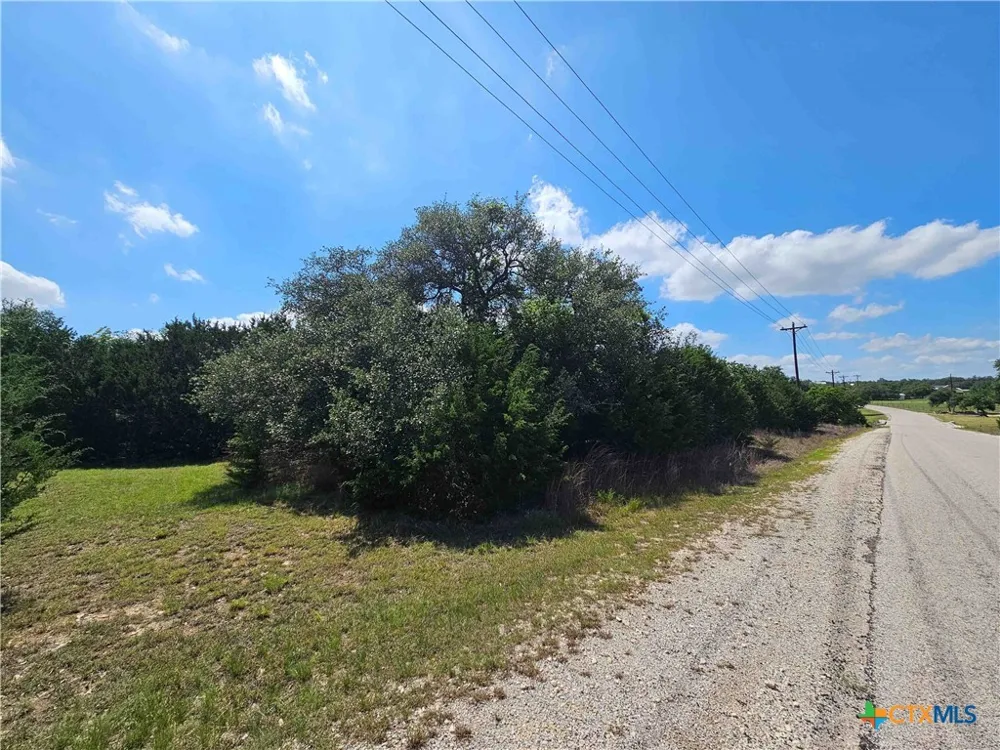 14 Cielo Springs Drive Blanco, TX 78606