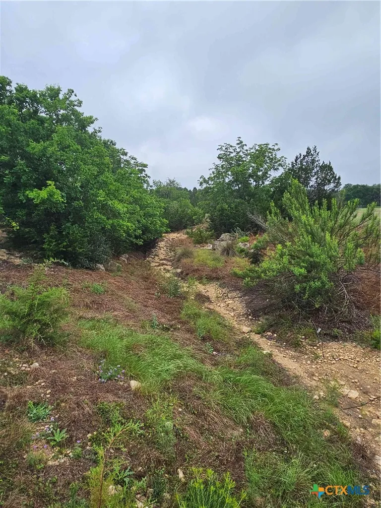 14 Cielo Springs Drive Blanco, TX 78606