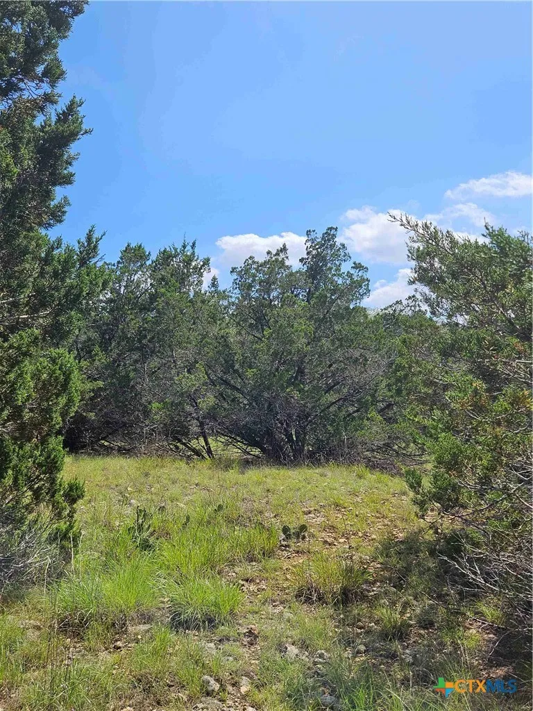14 Cielo Springs Drive Blanco, TX 78606
