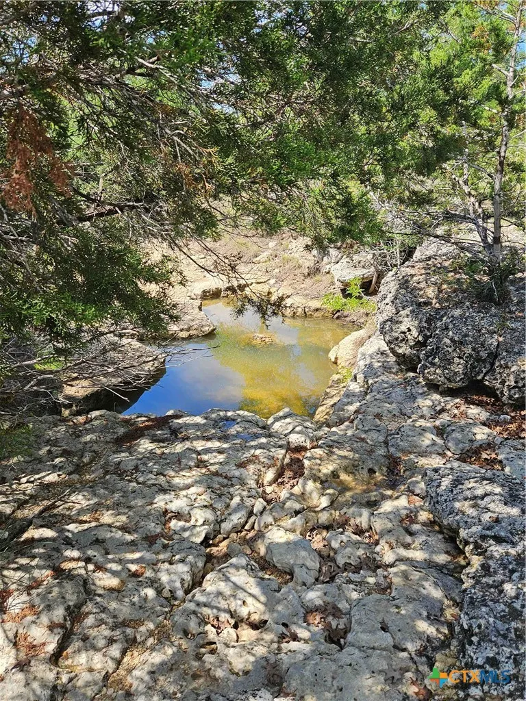 14 Cielo Springs Drive Blanco, TX 78606