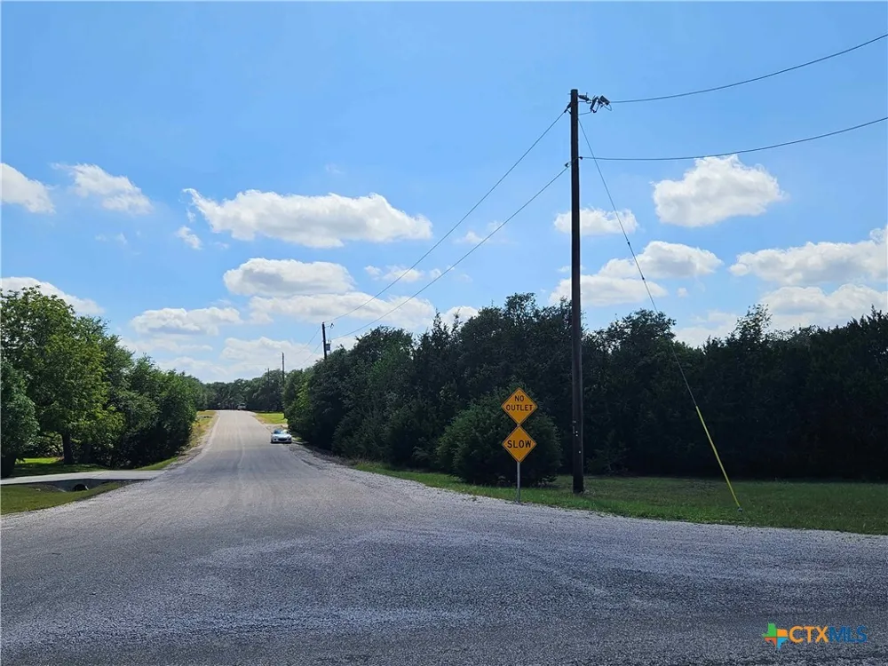 14 Cielo Springs Drive Blanco, TX 78606