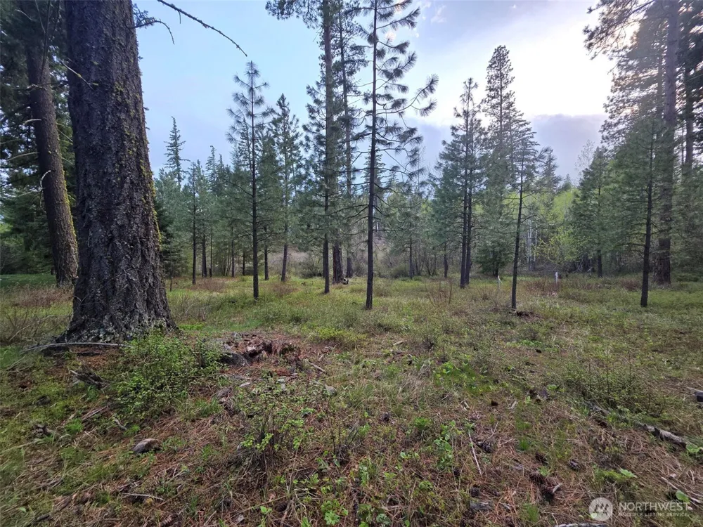 15 Lot Old Grove Trail Cle Elum, WA 98922