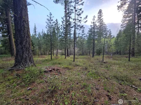 15 Lot Old Grove Trail