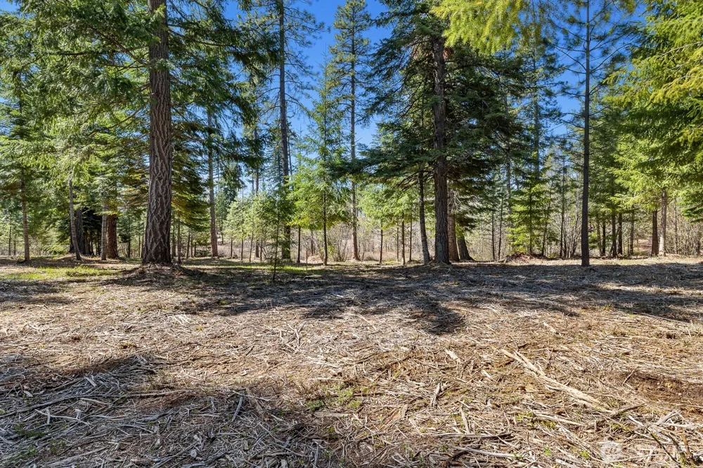 15 Lot Old Grove Trail Cle Elum, WA 98922
