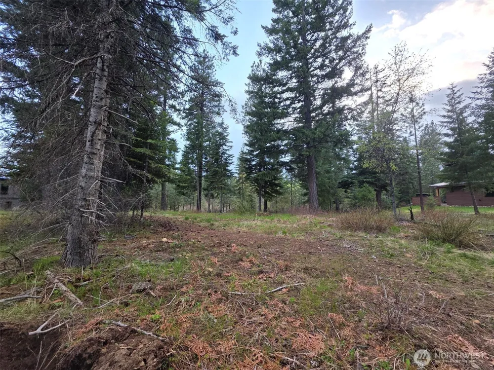 15 Lot Old Grove Trail Cle Elum, WA 98922