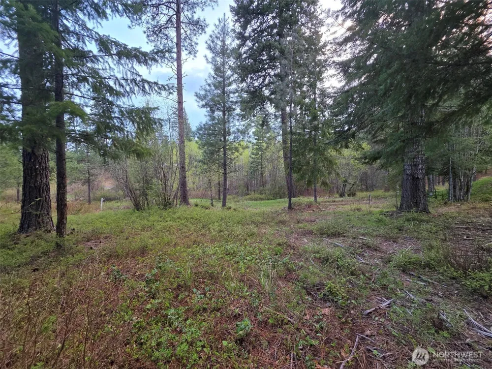 15 Lot Old Grove Trail Cle Elum, WA 98922