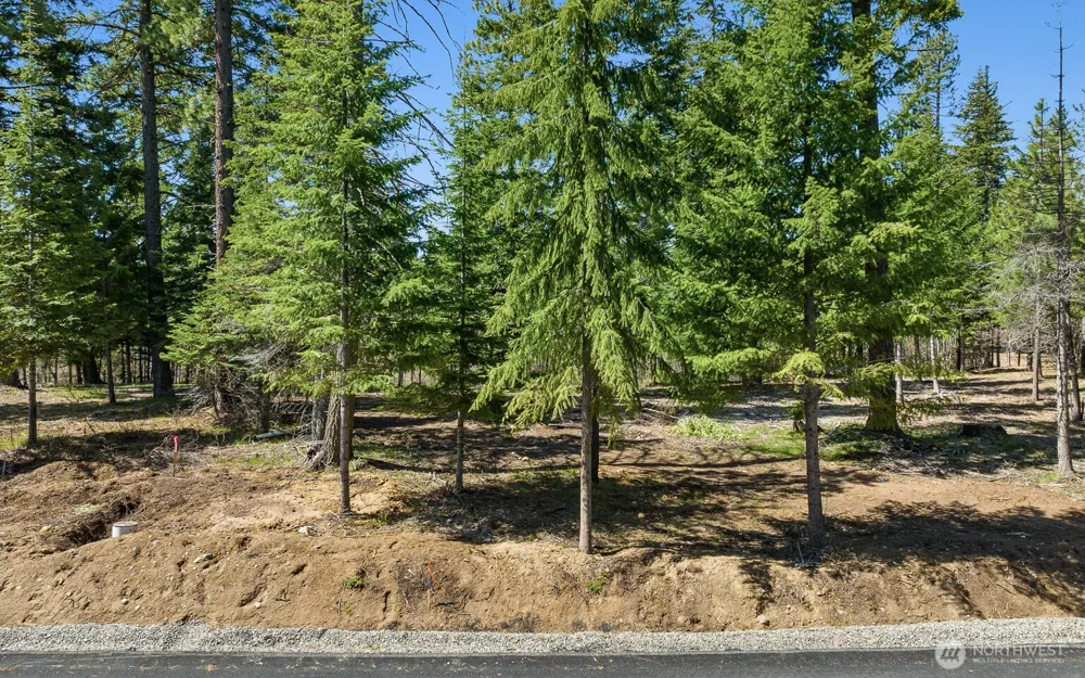 15 Lot Old Grove Trail Cle Elum, WA 98922