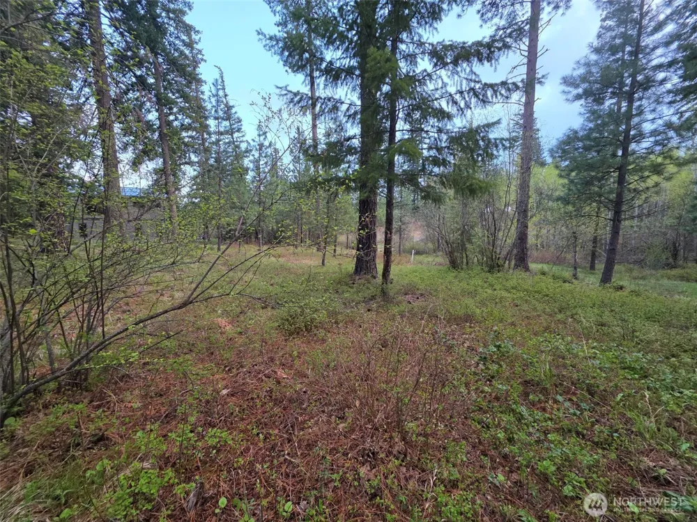 15 Lot Old Grove Trail Cle Elum, WA 98922
