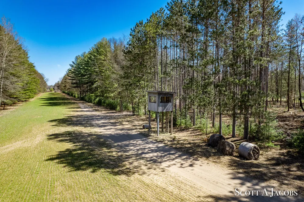 1125 Chaput Drive Sears, MI 49679