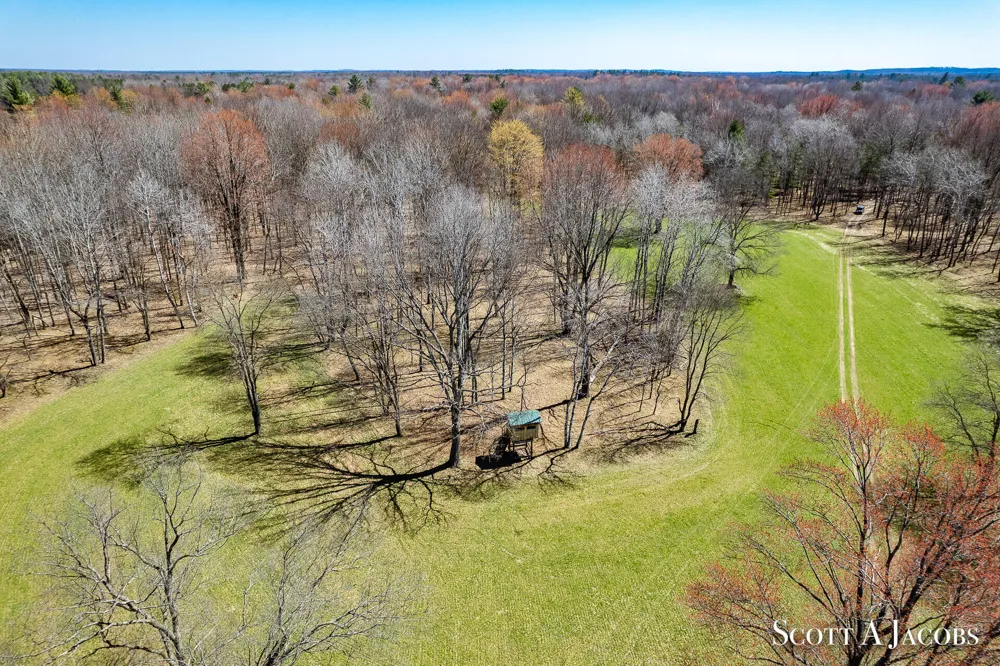 1125 Chaput Drive Sears, MI 49679