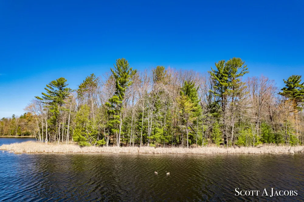 1125 Chaput Drive Sears, MI 49679
