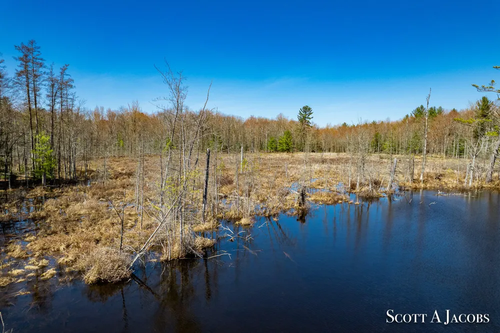 1125 Chaput Drive Sears, MI 49679