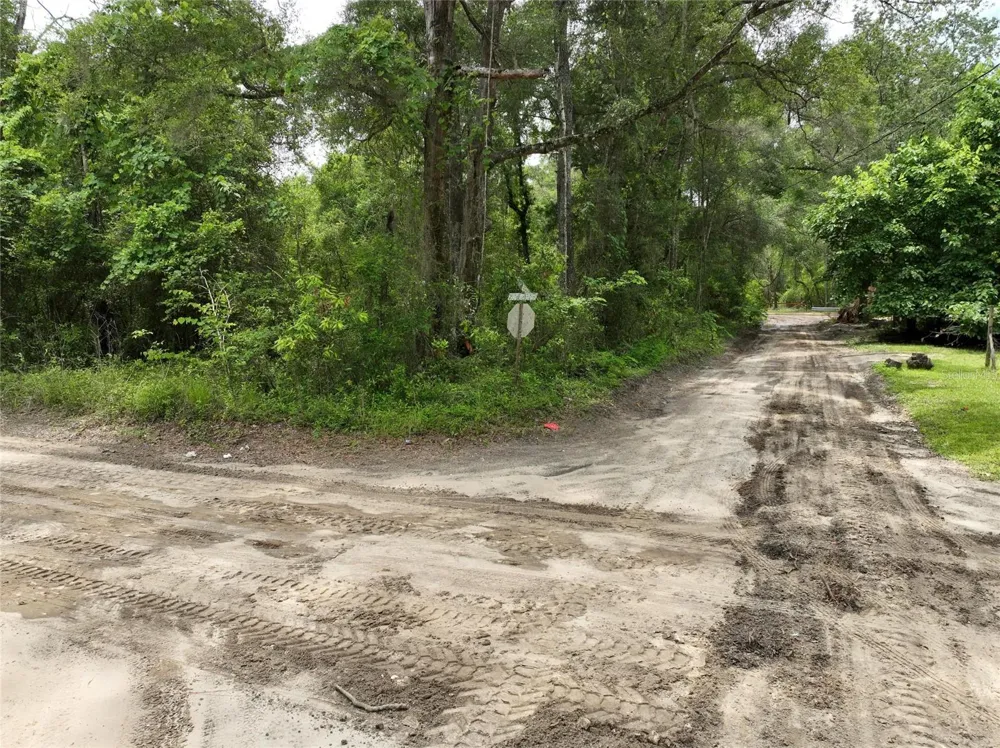 Address Not Shown Trenton, FL 32693