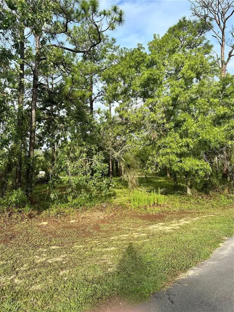 2 BARKWOOD POINT