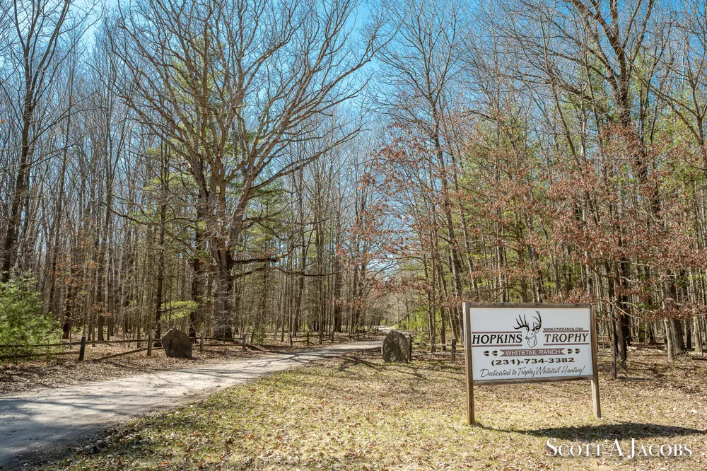 1125 Chaput Drive Orient Township, MI 49679