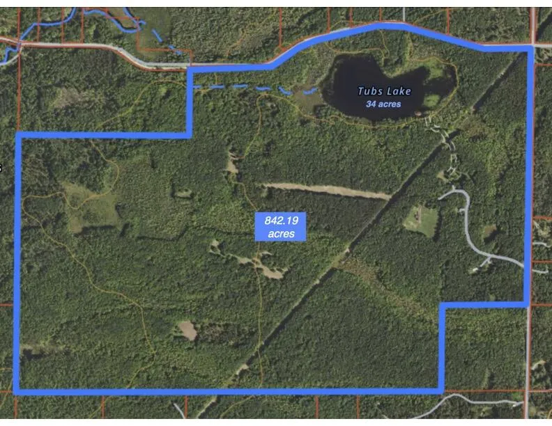 1125 Chaput Drive Orient Township, MI 49679