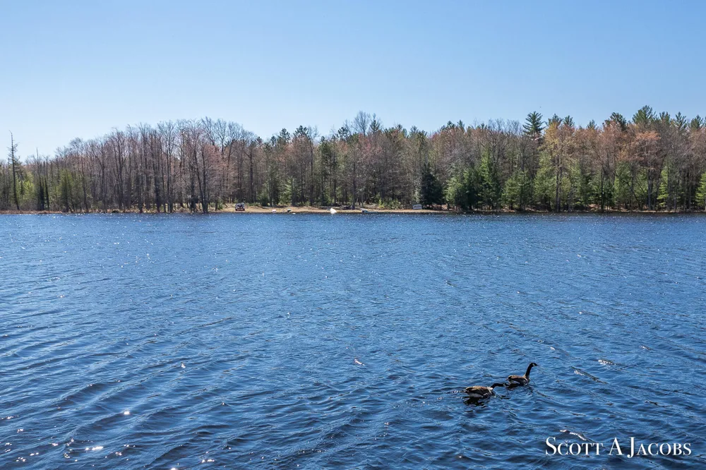 1125 Chaput Drive Orient Township, MI 49679
