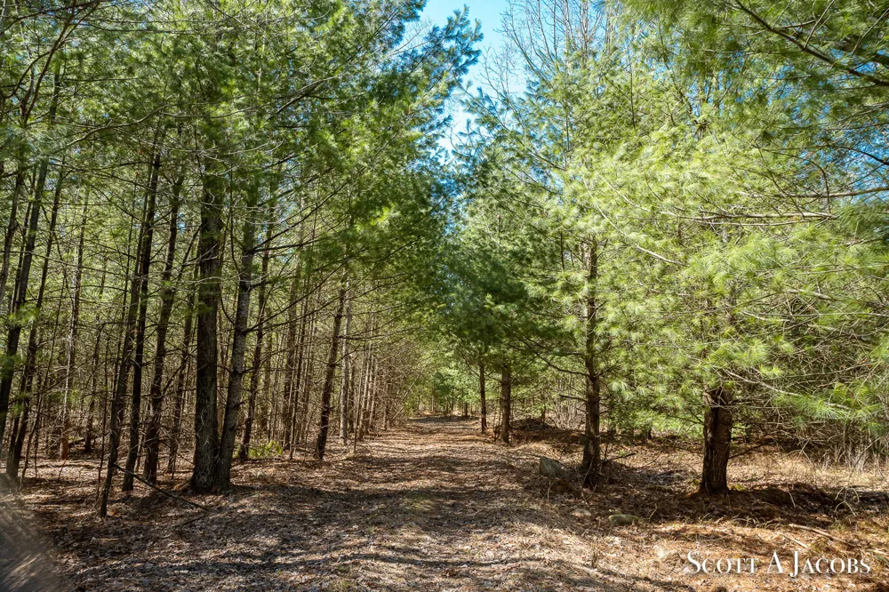 1125 Chaput Drive Orient Township, MI 49679