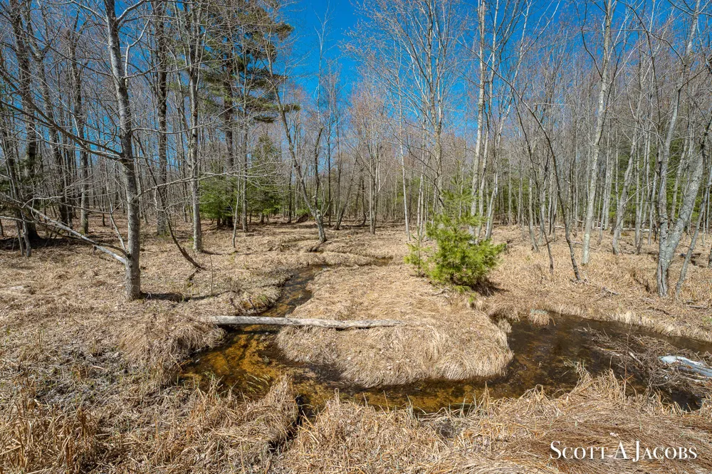 1125 Chaput Drive Orient Township, MI 49679