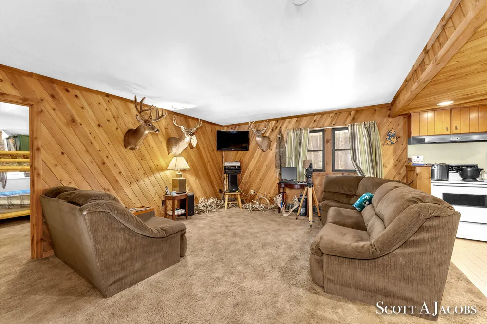 1125 Chaput Drive Orient Township, MI 49679
