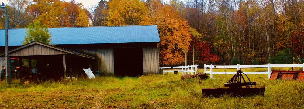 1125 Chaput Drive Orient Township, MI 49679