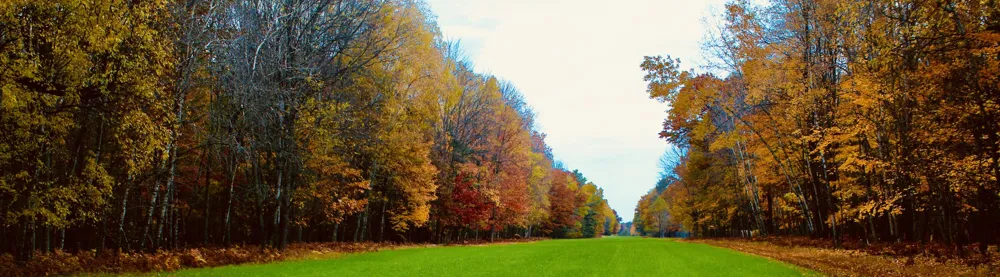 1125 Chaput Drive Orient Township, MI 49679