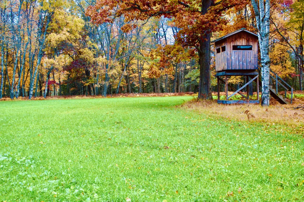 1125 Chaput Drive Orient Township, MI 49679