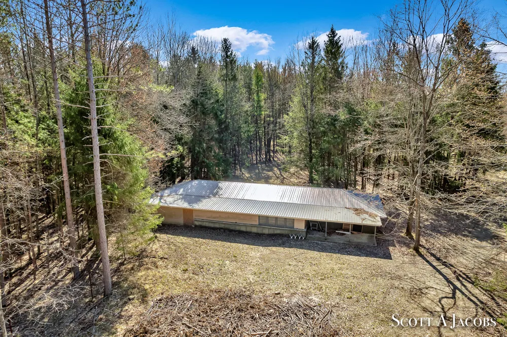 1125 Chaput Drive Orient Township, MI 49679