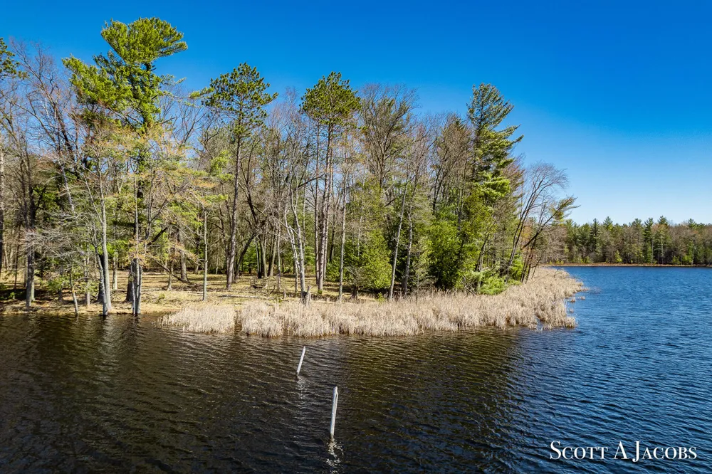 1125 Chaput Drive Orient Township, MI 49679
