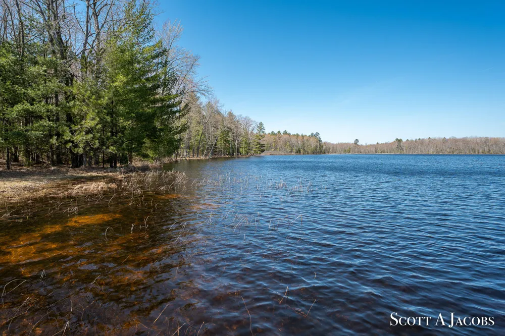 1125 Chaput Drive Orient Township, MI 49679