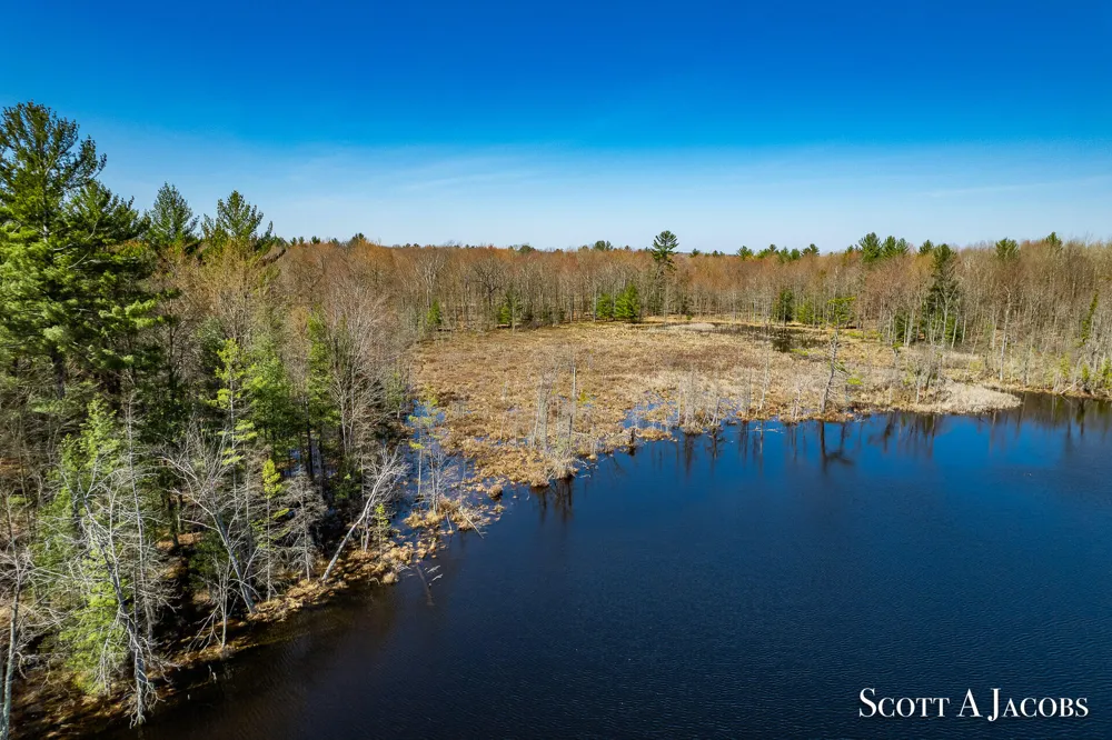 1125 Chaput Drive Orient Township, MI 49679