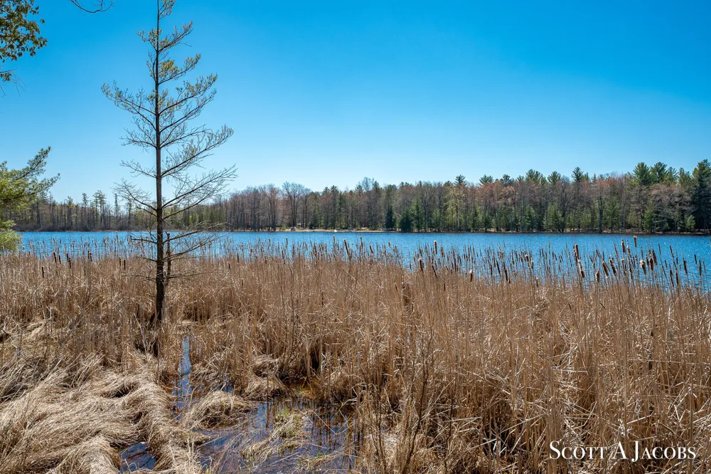 1125 Chaput Drive Orient Township, MI 49679
