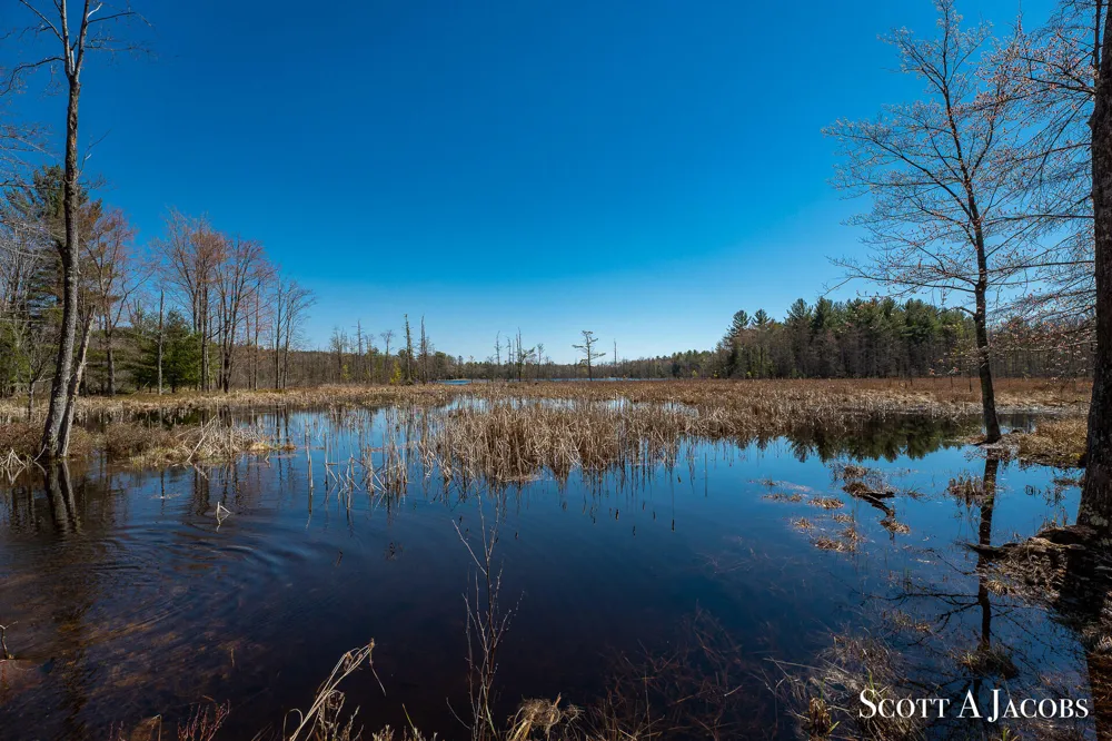 1125 Chaput Drive Orient Township, MI 49679