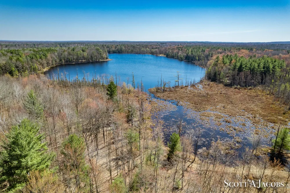 1125 Chaput Drive Orient Township, MI 49679