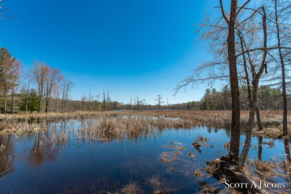 1125 Chaput Drive Orient Township, MI 49679