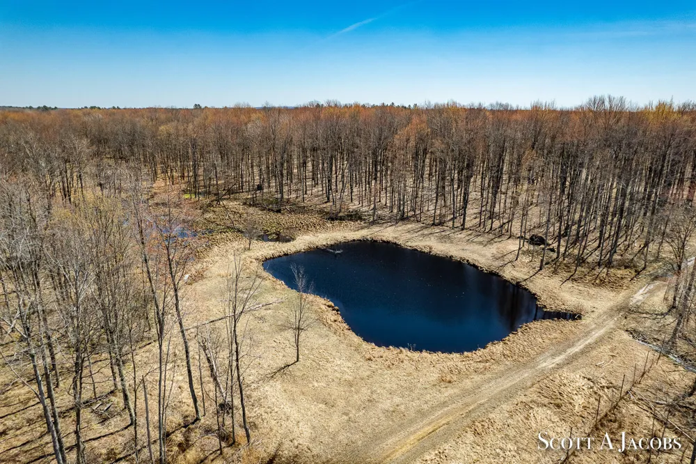1125 Chaput Drive Orient Township, MI 49679