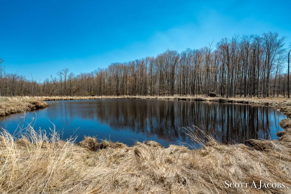 1125 Chaput Drive Orient Township, MI 49679